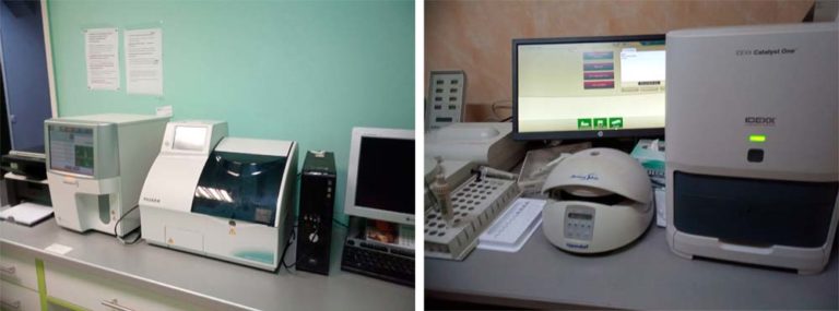 Анализ крови за 10 минут
